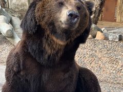 -灵玲国际马戏城