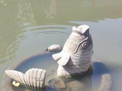 -皇罗禅寺
