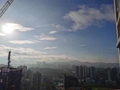 -九龙公园