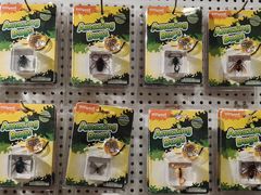-猫的天空之城概念书店(苏州平江店)