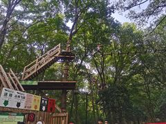 -WeLope紫金山探险公园