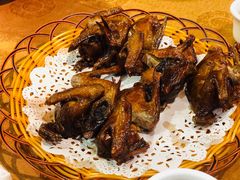 -沙田鸽王(解放路店)