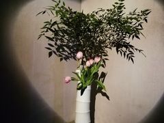 -穹六人间 people 6(岳阳路店)