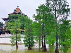 -顺峰山公园