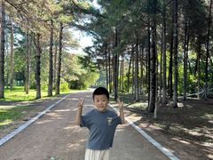 -长春市南湖公园