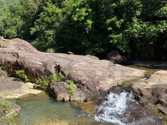 -广州白江湖森林公园