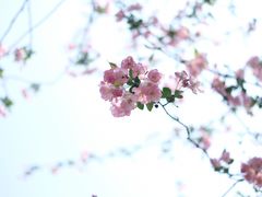 -南山植物园