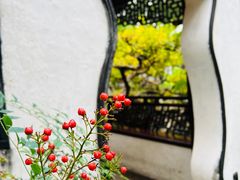 -豫园