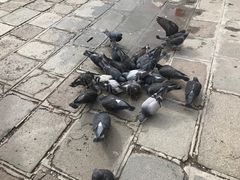 -叹息桥