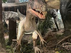 -湖南省地质博物馆