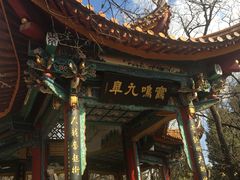 -昆明动物园