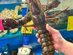 -粤盛海鲜平价店(洛溪食街店)