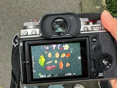 -华南国家植物园-售票处