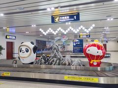 -张家口宁远机场