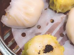 -糖朝(尖沙咀店)