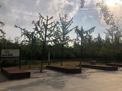 -永定河休闲森林公园