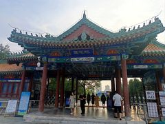 -莲花池公园