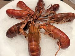 -红盔甲·小龙虾(车公庙店)