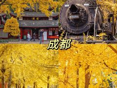 -塔川景区