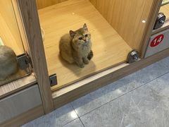 -英皇电影城(平安金融中心IMAX激光店)