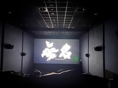 -幸福蓝海国际影城(河西店)