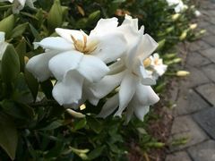 android_upload_pic-白塘生态植物园