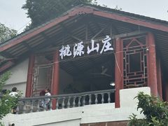 -桃源山庄·水蜜桃采摘·柴火鸡·烧烤团建(龙泉山店)