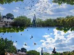 -北戴河转鱼·炒螃蟹酱餐厅