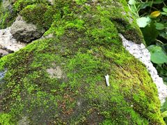 -碓臼峪自然风景区