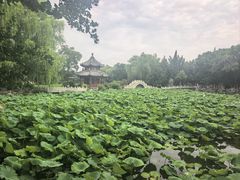 -莲池书院博物馆