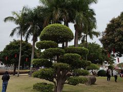 -石炮台公园
