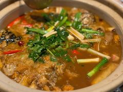 -杨氏青龙虾·羊蝎子(托乐嘉店)