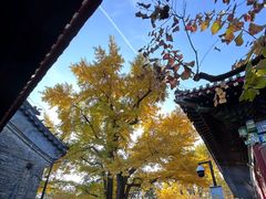 -红螺寺