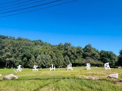 -高尔山公园