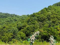 -重庆彩云湖湿地公园