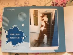 -纳吉亚猫专科动物医院博雅分院
