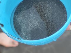 -台山黑沙湾海浴场