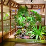 乔街深夜食堂的生蚝，鲜到让我半夜爬起来写点评