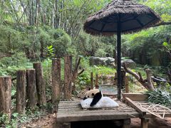 -广州长隆国际大马戏