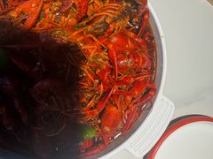 -堕落小龙虾(兰州旗舰店)