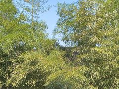 -一江春水·杭帮臻宴(三台山店)