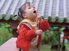 -广州神农草堂中医药博物馆