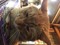 众源美食-众源美食(光复阁店)