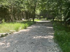 -十渡东湖港风景区