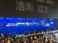 -成都浩海立方海洋公园