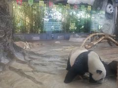 -海南热带野生动植物园