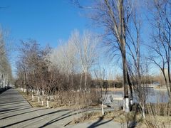 -大兴滨河森林公园