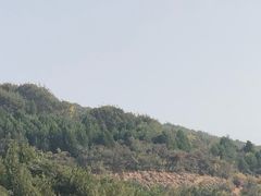 -鬼笑石后山停车场