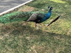 -西昌邛海宾馆