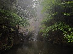 -莫干山风景区